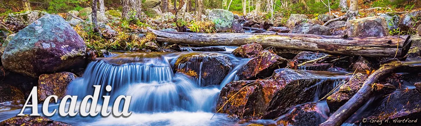 Jordan Stream in Acadia National Park