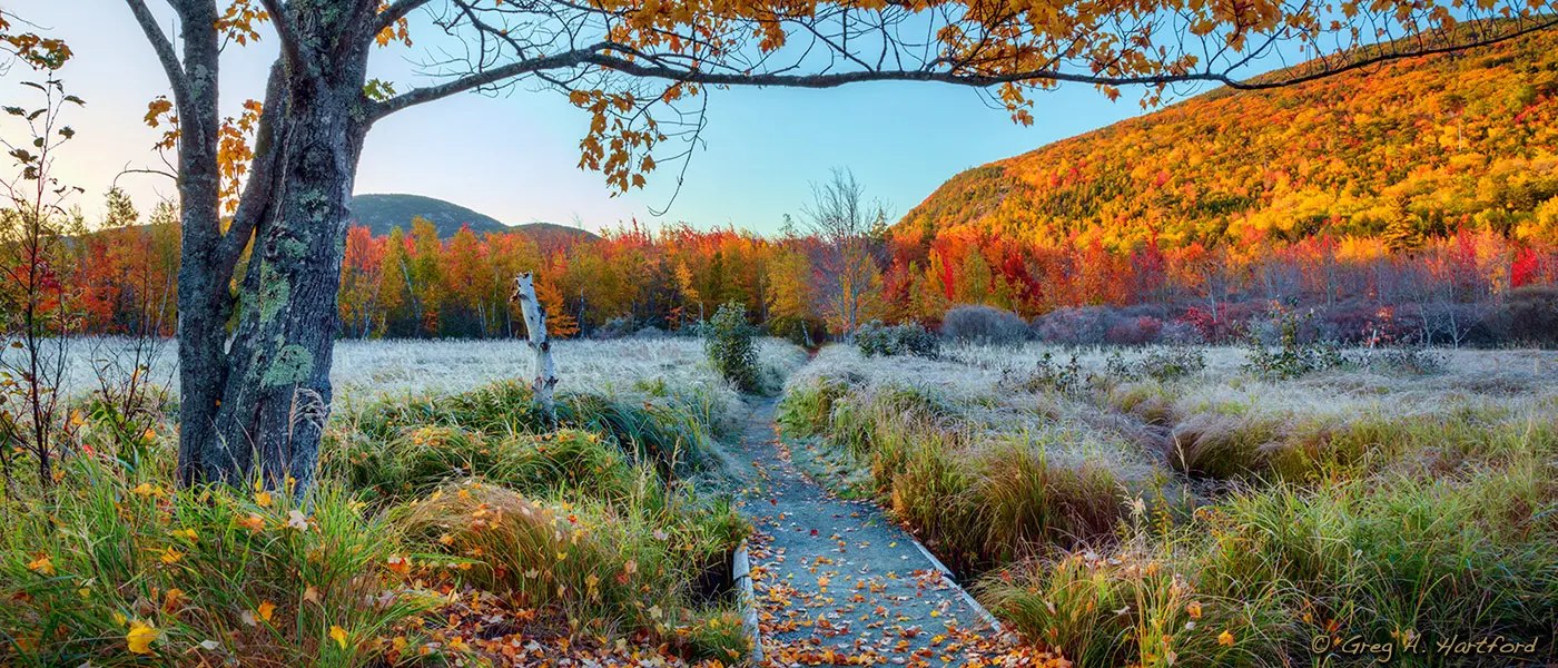 Hiking Trail in Great Meadows in Acadia