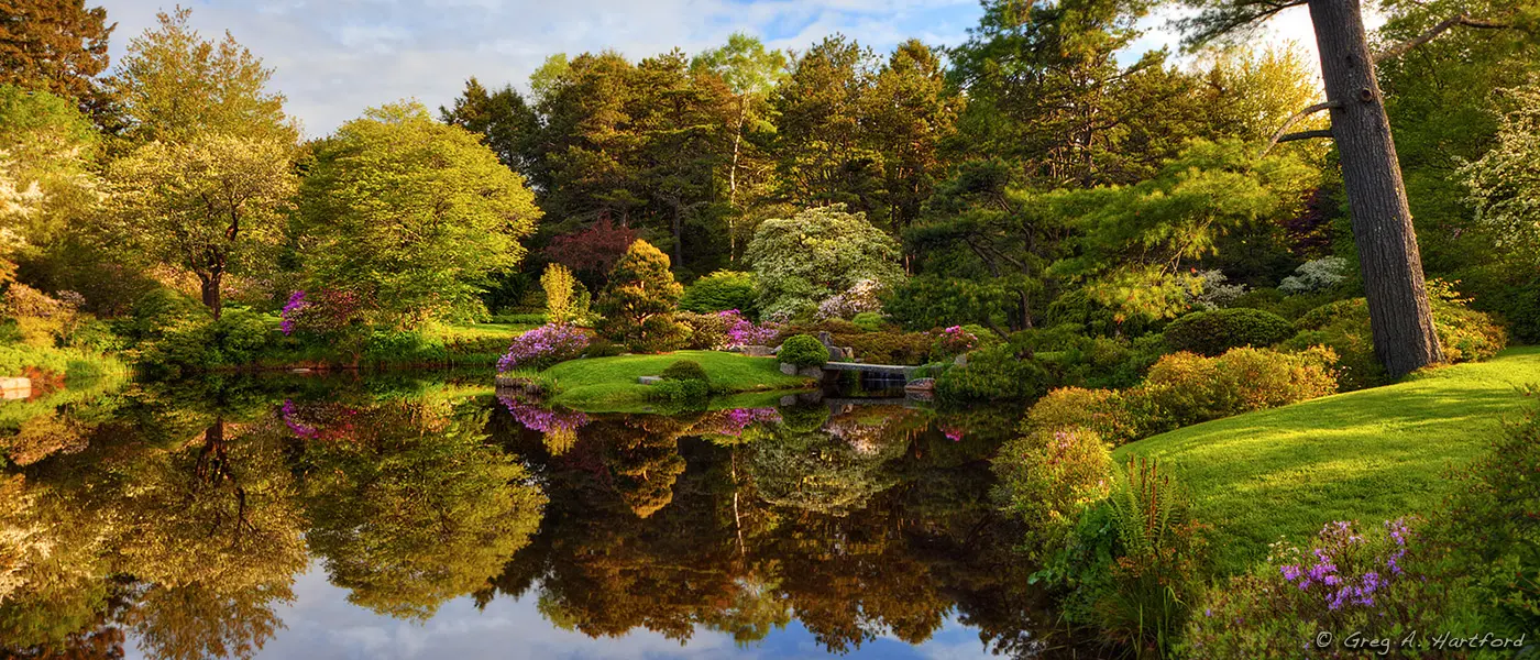 Asticou Azalea Garden in Northeast Harbor, Maine