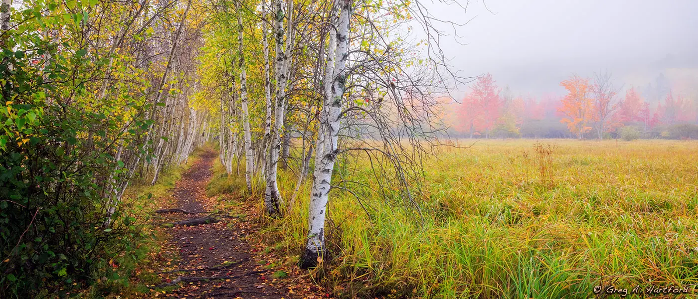 Hiking in Acadia National Park, Maine