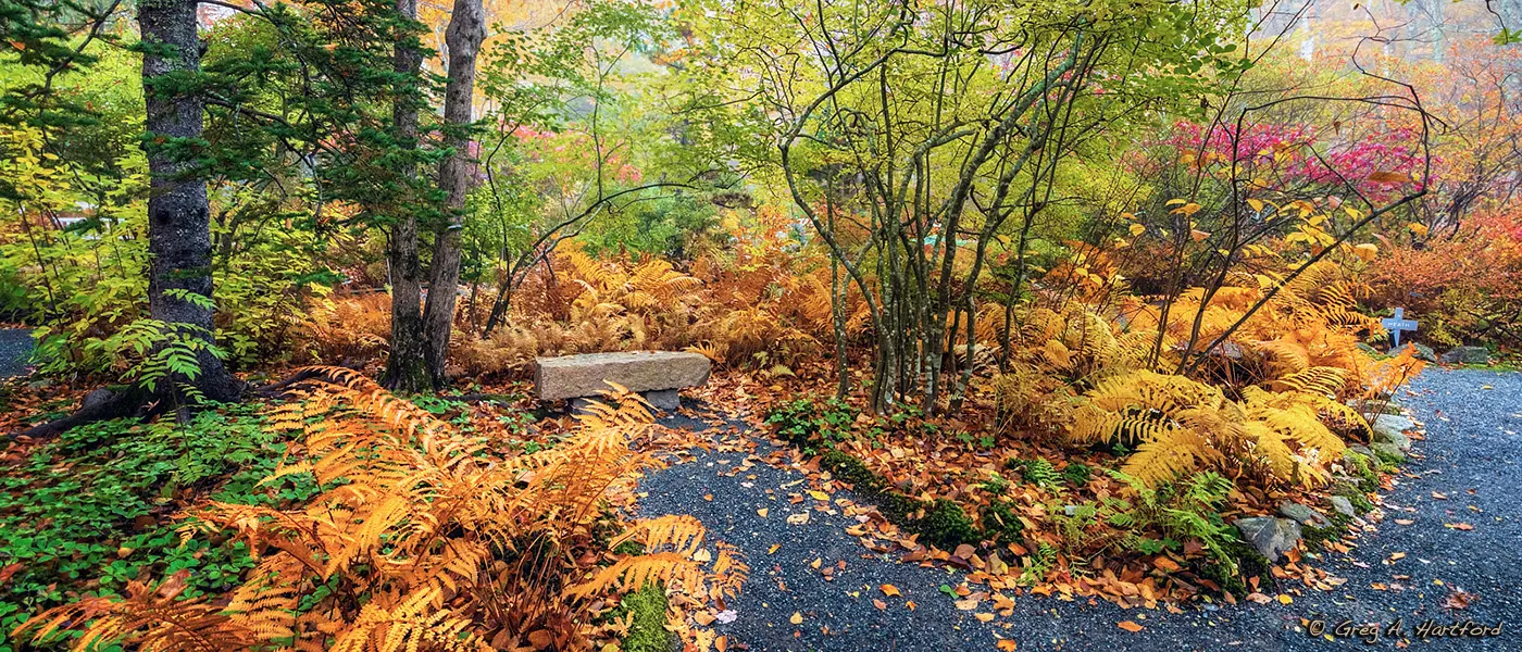 Wild Gardens of Acadia